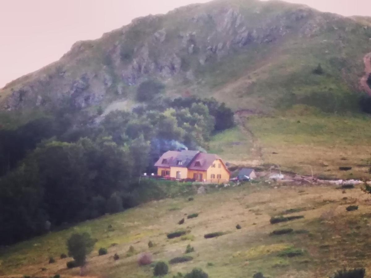 Vikendica Vila Despotovic Kopaonik Esterno foto