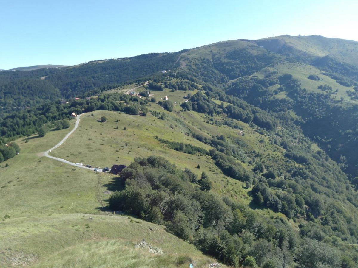 Vikendica Vila Despotovic Kopaonik Esterno foto