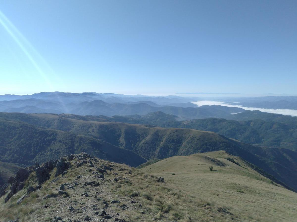 Vikendica Vila Despotovic Kopaonik Esterno foto