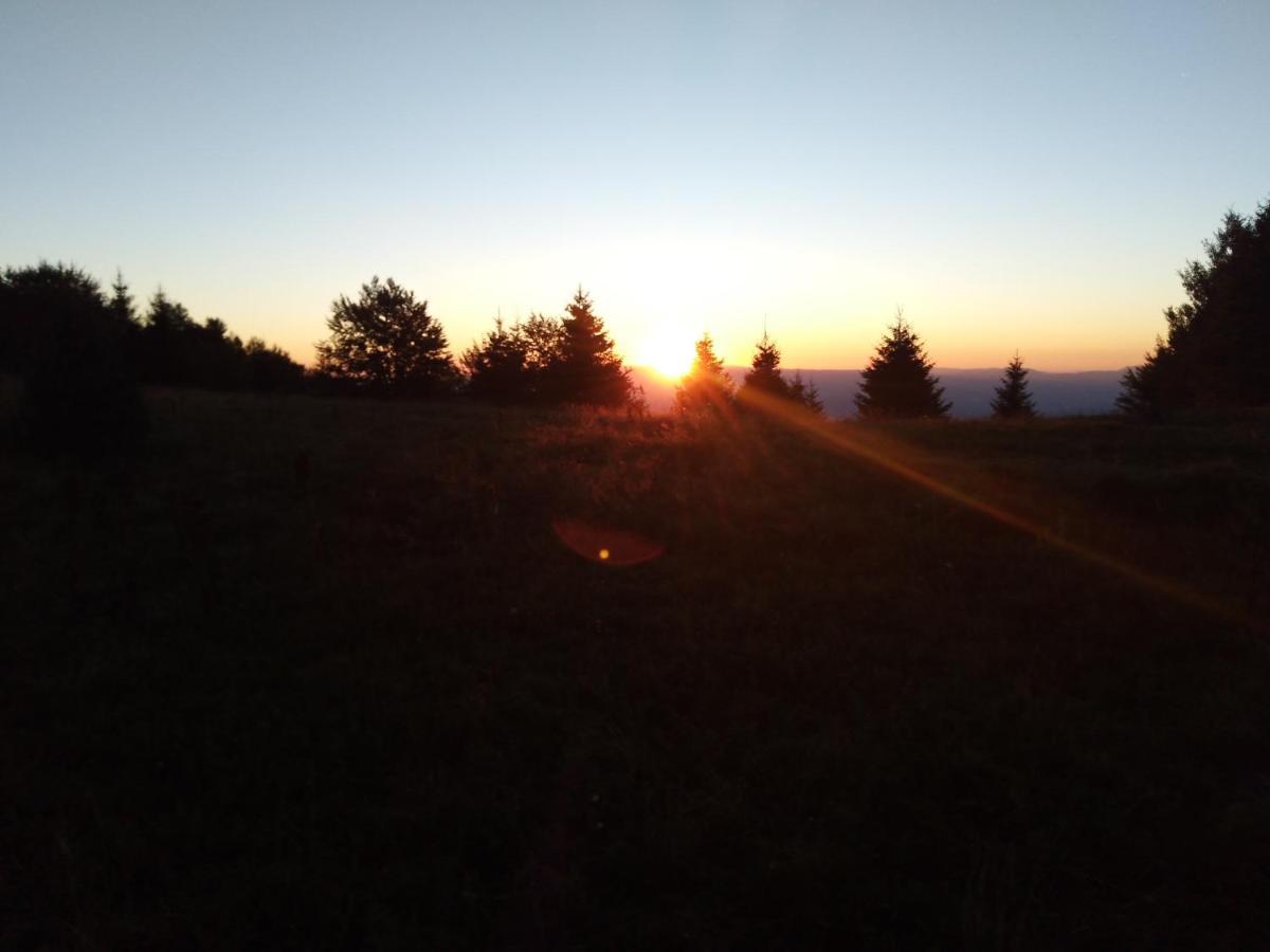 Vikendica Vila Despotovic Kopaonik Esterno foto