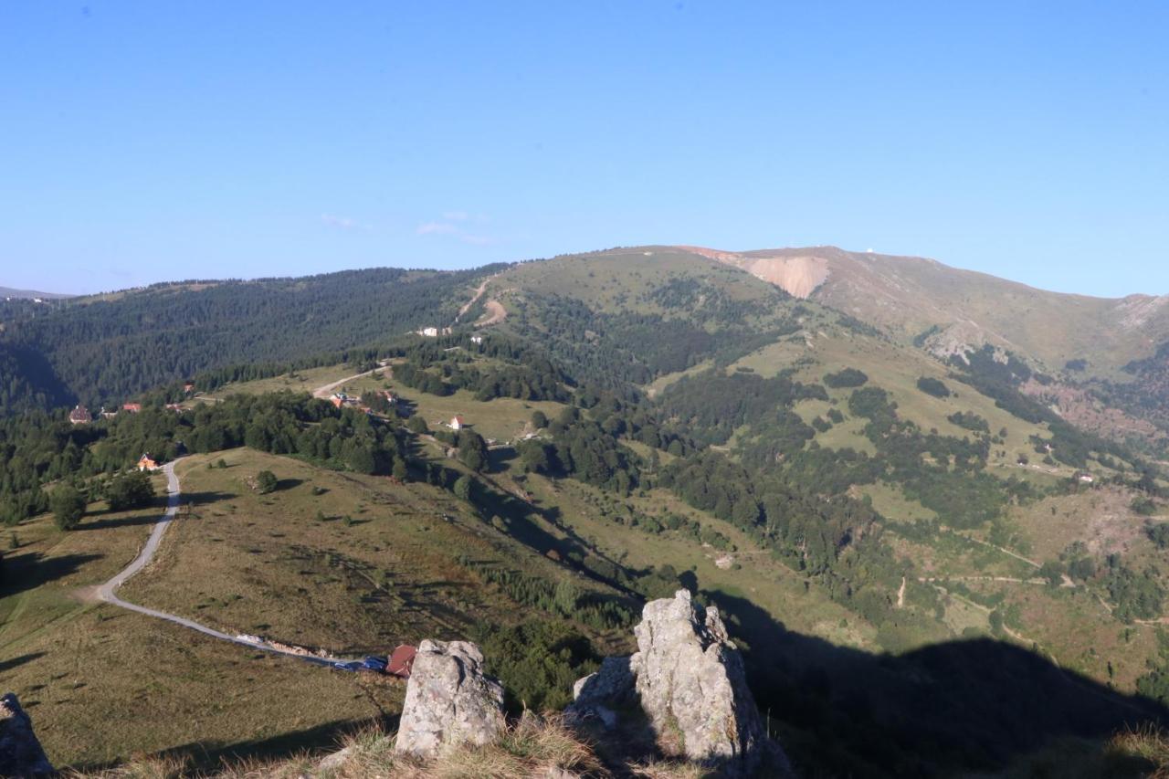Vikendica Vila Despotovic Kopaonik Esterno foto