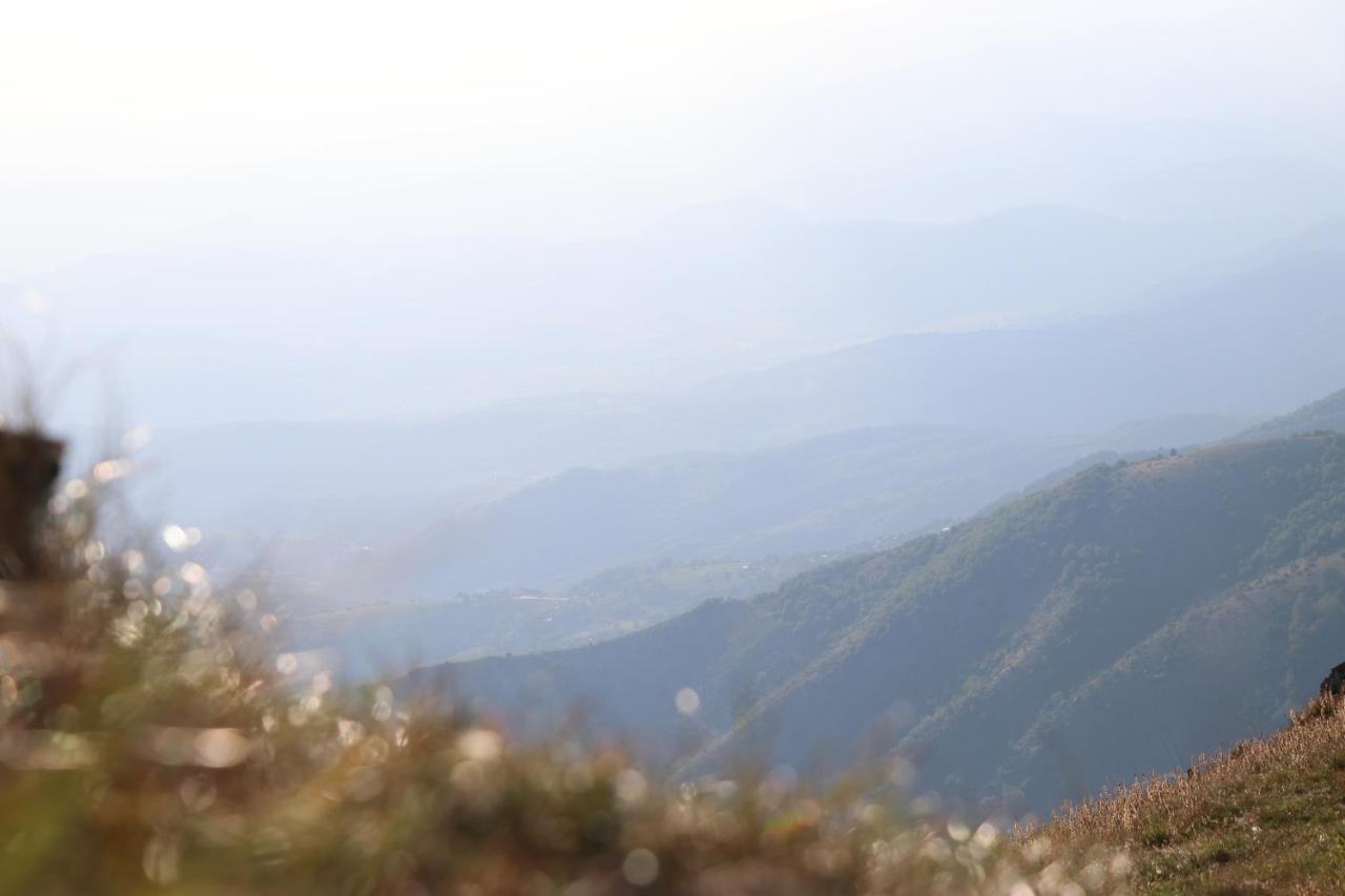 Vikendica Vila Despotovic Kopaonik Esterno foto