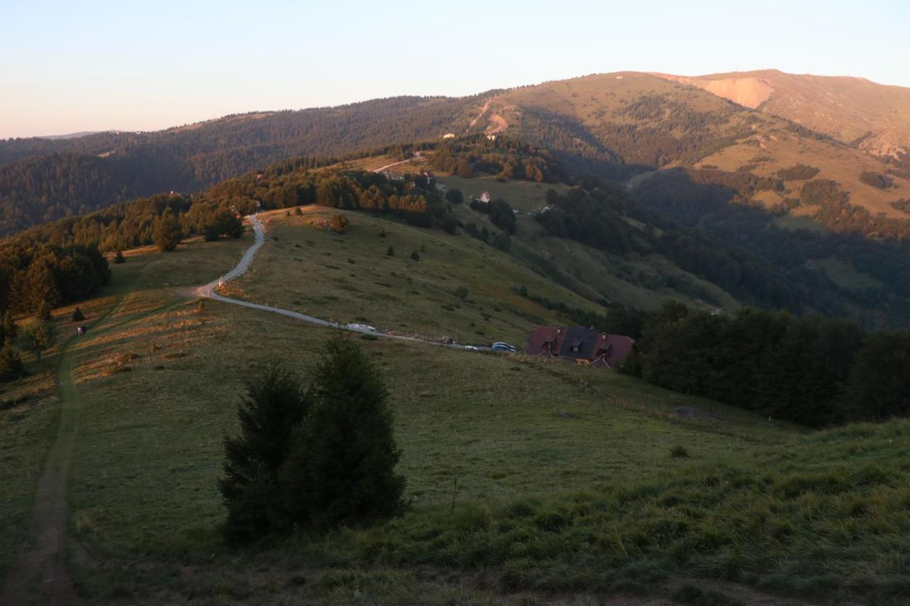 Vikendica Vila Despotovic Kopaonik Esterno foto