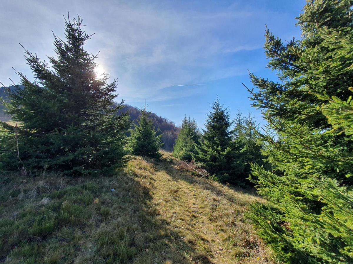 Vikendica Vila Despotovic Kopaonik Esterno foto