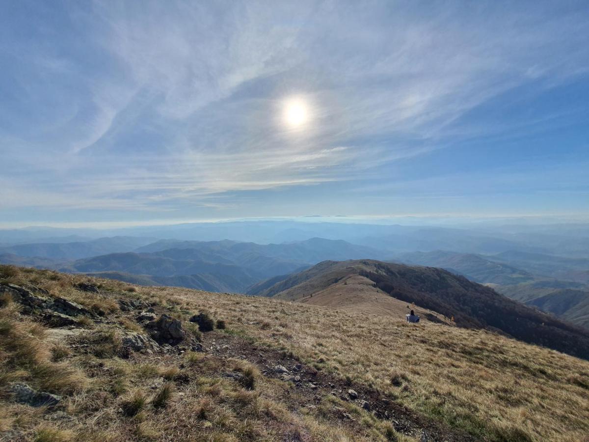 Vikendica Vila Despotovic Kopaonik Esterno foto