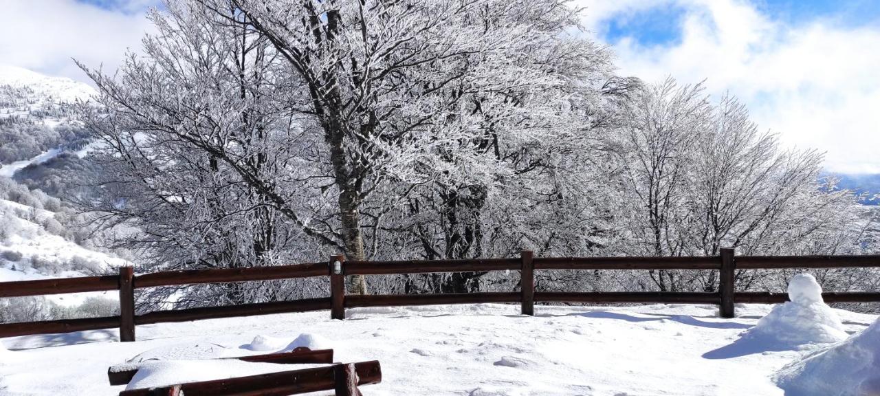 Vikendica Vila Despotovic Kopaonik Esterno foto