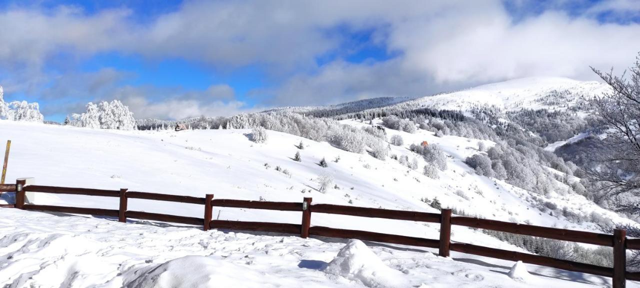 Vikendica Vila Despotovic Kopaonik Esterno foto