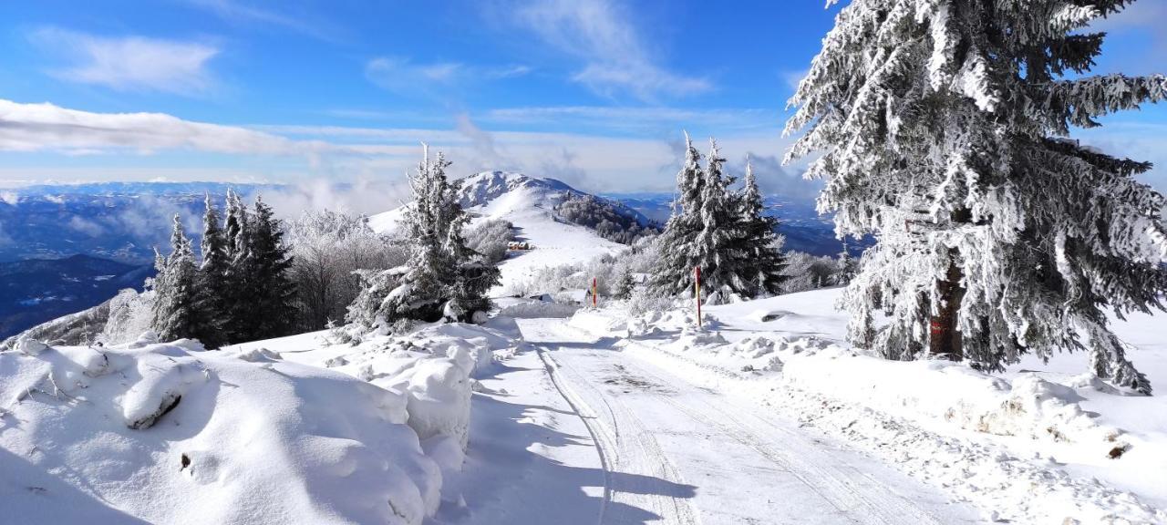 Vikendica Vila Despotovic Kopaonik Esterno foto