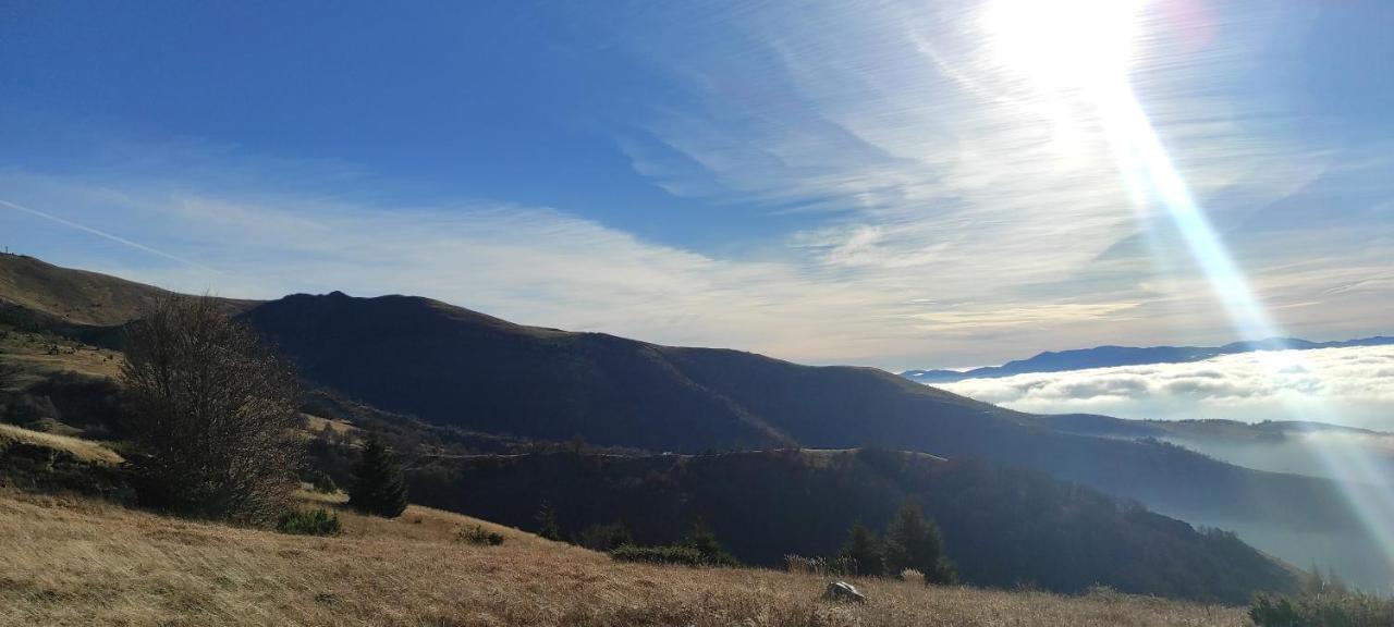 Vikendica Vila Despotovic Kopaonik Esterno foto