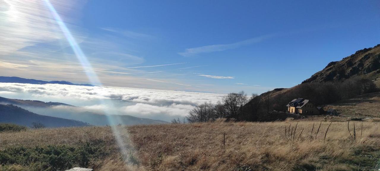Vikendica Vila Despotovic Kopaonik Esterno foto