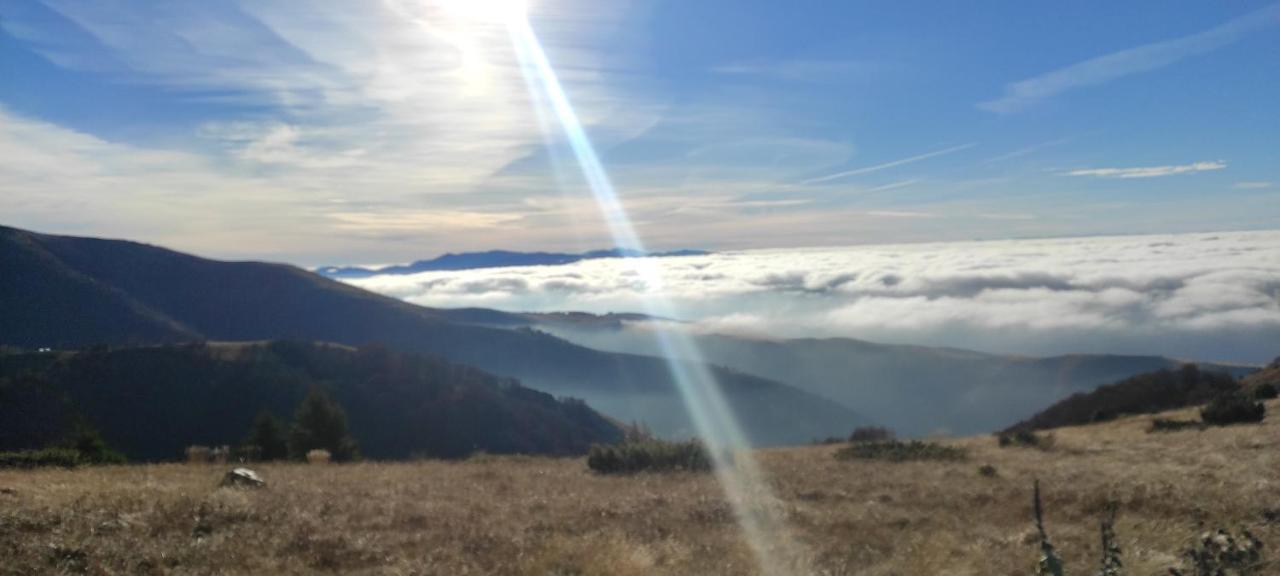 Vikendica Vila Despotovic Kopaonik Esterno foto