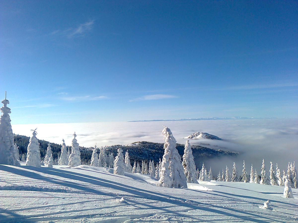 Vikendica Vila Despotovic Kopaonik Esterno foto