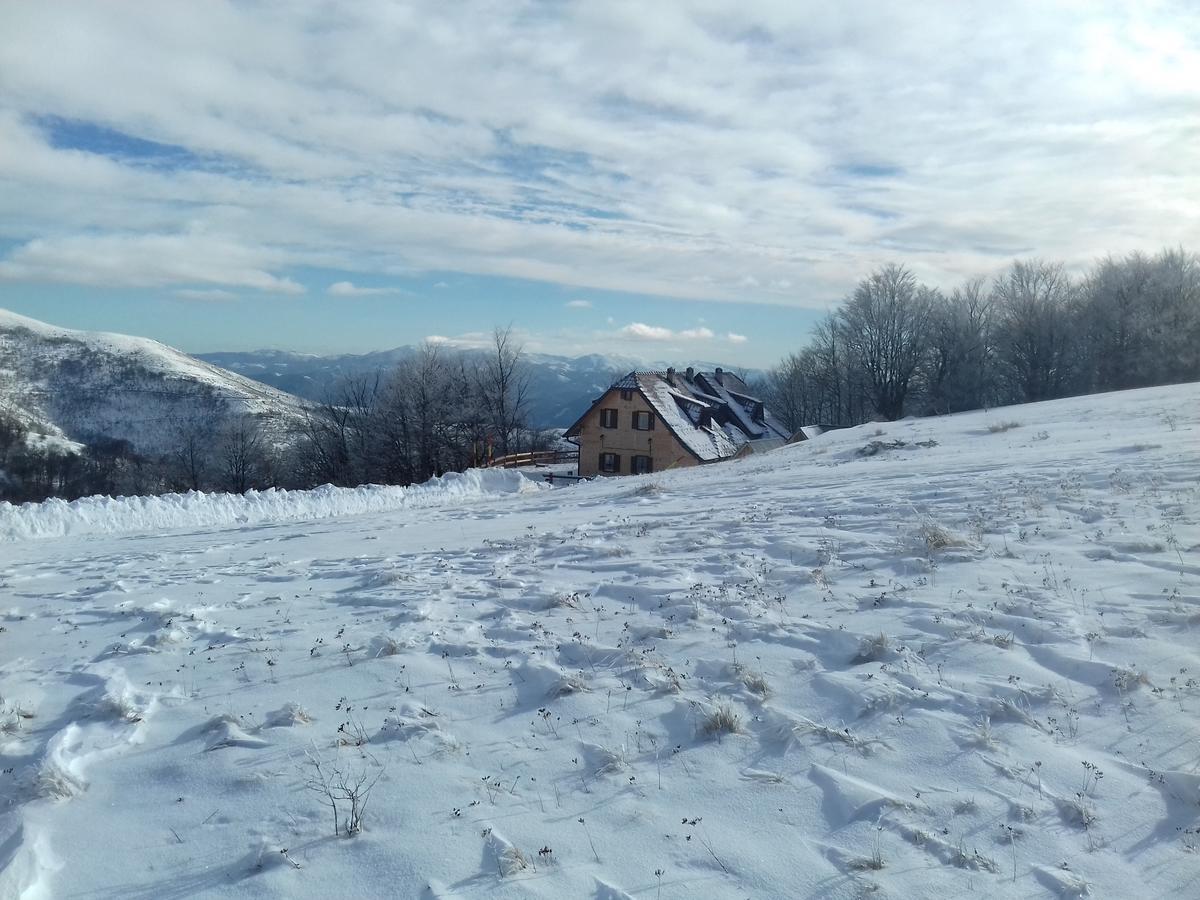 Vikendica Vila Despotovic Kopaonik Esterno foto