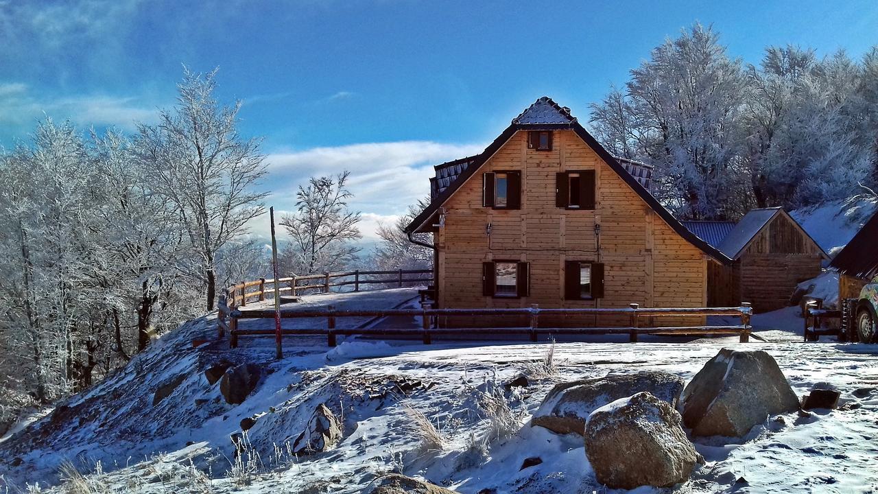 Vikendica Vila Despotovic Kopaonik Esterno foto