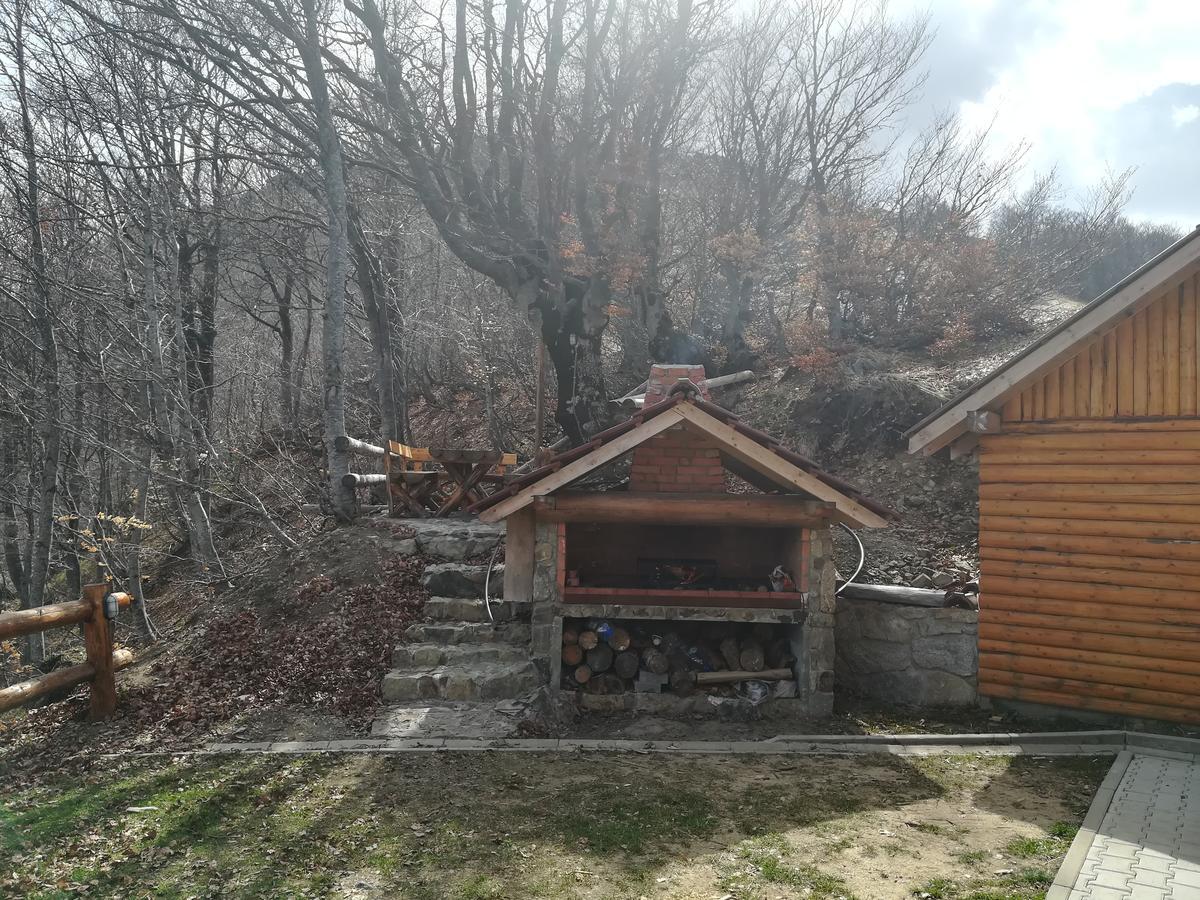 Vikendica Vila Despotovic Kopaonik Esterno foto