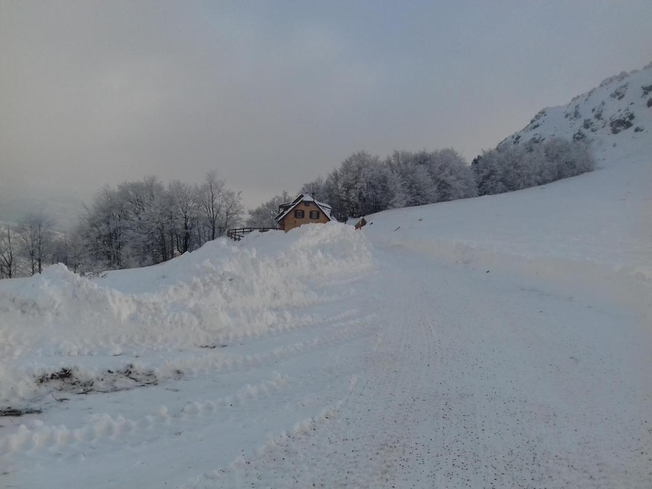 Vikendica Vila Despotovic Kopaonik Esterno foto