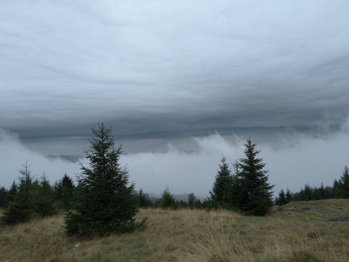 Vikendica Vila Despotovic Kopaonik Esterno foto